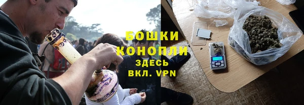 стаф Волосово