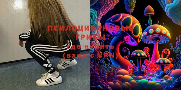стаф Волосово