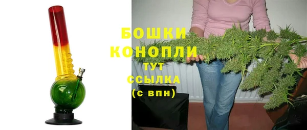 молекула духа Вяземский
