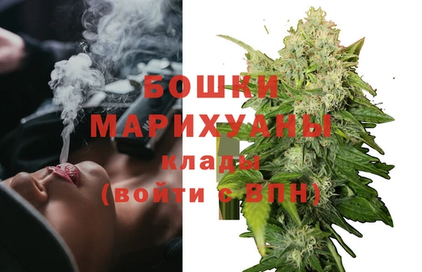 стаф Волосово