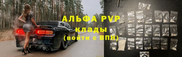 стаф Волосово