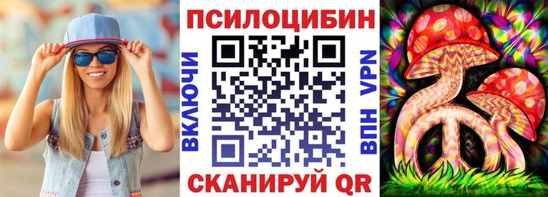 KRAKEN онион  Магас  Псилоцибиновые грибы Psilocybine cubensis 